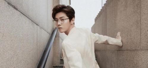 娱乐圈吃瓜李宏毅是谁啊,揭秘他的明星之路  第3张